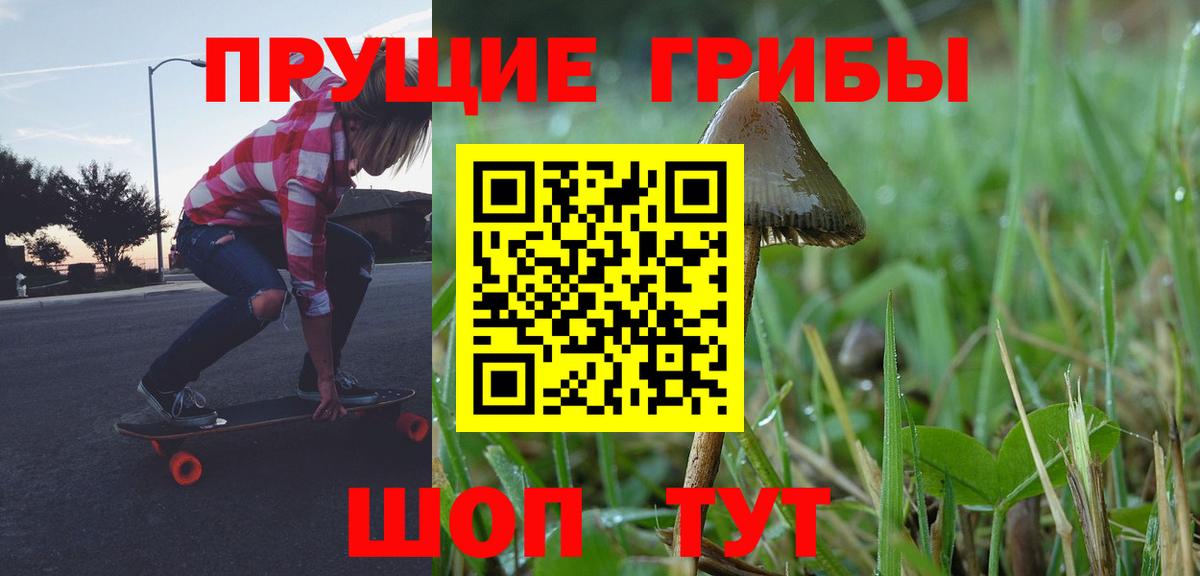 Светлоград  Псилоцибиновые грибы Cubensis  Псилоцибиновые грибы Psilocybe  Вход с VPN 